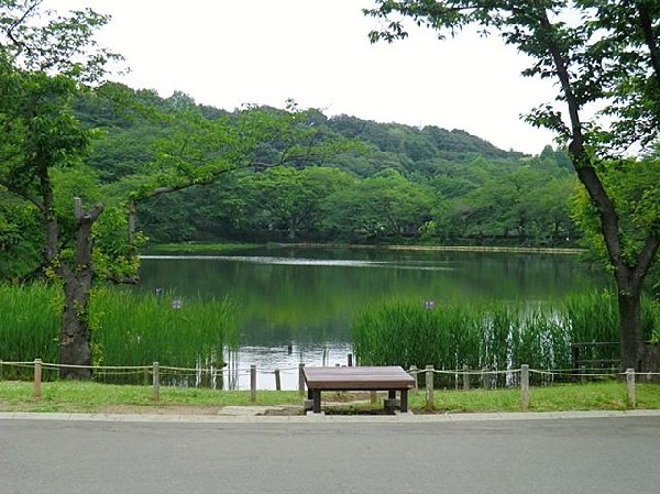 周辺環境:三ツ池公園(三ツ池公園まで800m)