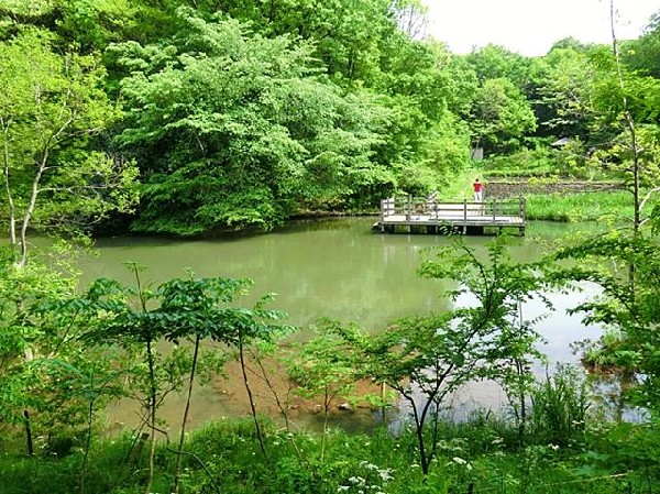 周辺環境:茅ヶ崎公園(茅ヶ崎公園まで260m)