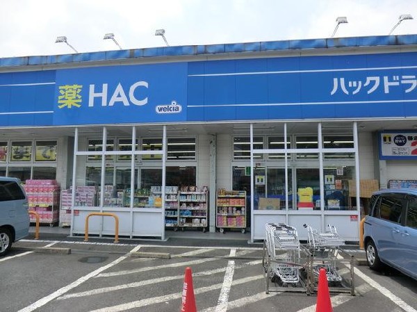 周辺環境:ハックドラッグ市沢店(ハックドラッグ市沢店まで1400m お薬や日用品はもちろん、冷蔵食品・冷凍食品等も取り揃える便利なお店です。)