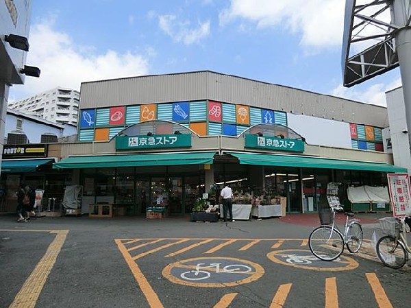 周辺環境:京急ストア日ノ出町店(京急ストア日ノ出町店まで1100m)