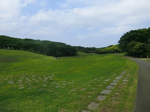 周辺環境:根岸森林公園(根岸森林公園まで1200m)