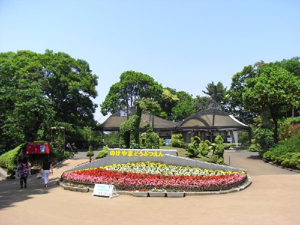 周辺環境:野毛山動物園(野毛山動物園まで700m お子様連れに嬉しい動物園も近くにあります♪)