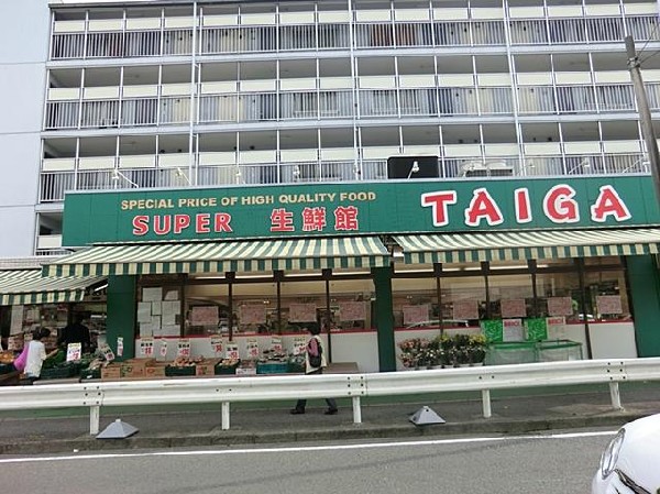 周辺環境:タイガ永田店(タイガ永田店(タイガ永田店(タイガ永田店まで250m))