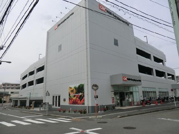 周辺環境:オーケー新子安店(オーケー新子安店まで650m)