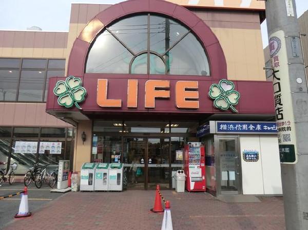 周辺環境:ライフ大口店(ライフ大口店まで800m)