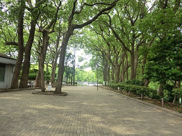 周辺環境:常盤公園(常盤公園まで750ｍ)