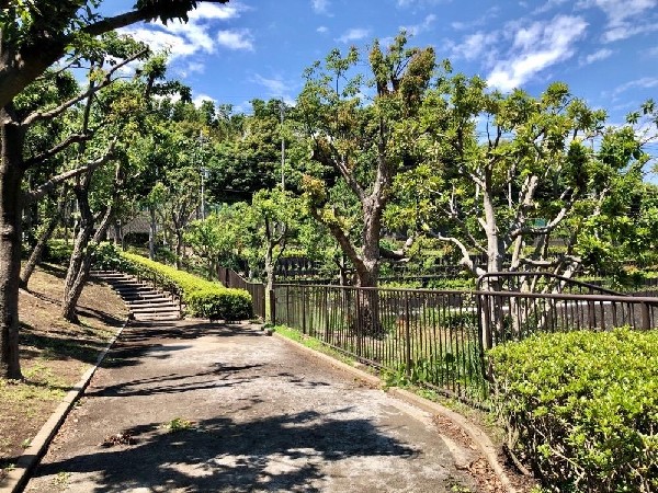 周辺環境:西が岡公園(西が岡公園まで500m)