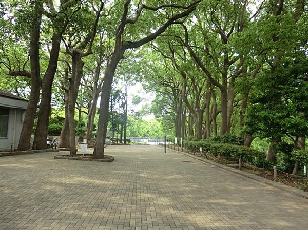 周辺環境:常盤公園(常盤公園まで550m)