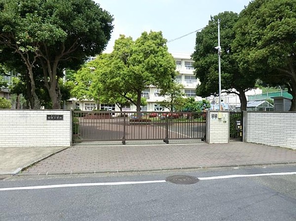 周辺環境:横浜市立公田小学校(横浜市立公田小学校まで260m)