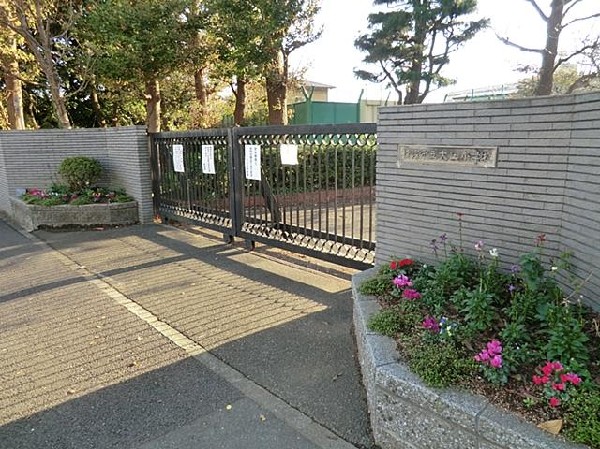 周辺環境:横浜市立大正小学校(横浜市立大正小学校まで300m)