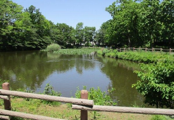 周辺環境:菊名池公園(菊名池公園まで620m)