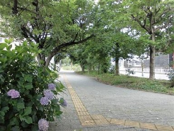 周辺環境:仲手原緑道(仲手原緑道まで870m)