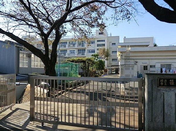 周辺環境:横浜市立篠原小学校(横浜市立篠原小学校まで550m)