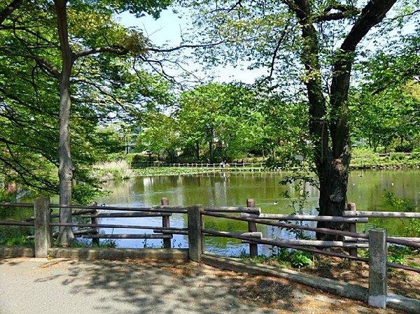 周辺環境:菊名池公園