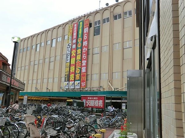 周辺環境:アピタ金沢文庫店(アピタ金沢文庫店まで600m)