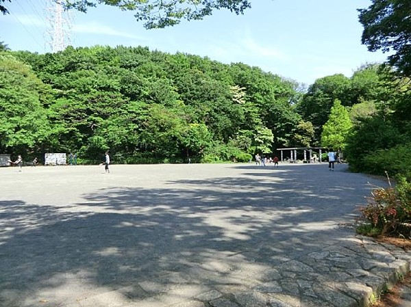 周辺環境:坪呑公園(坪呑公園まで170m)