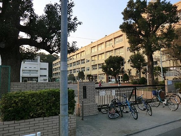 周辺環境:横浜市立新井小学校(横浜市立新井小学校まで800m)