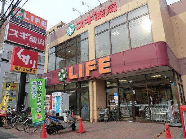 周辺環境:ライフ大口店(ライフ大口店まで700m)