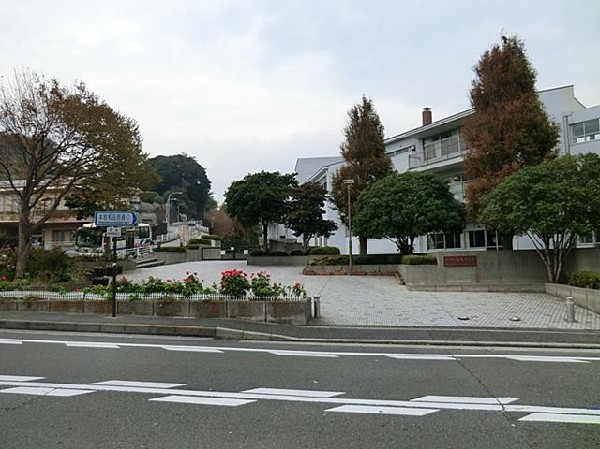 周辺環境:横浜市立本牧中学校(横浜市立本牧中学校まで1000m)
