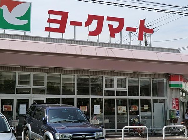 周辺環境:ヨークマート大倉山店(ヨークマート大倉山店まで1300m)