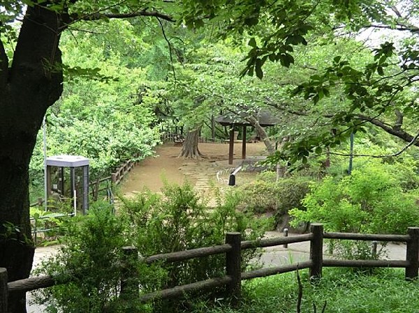 周辺環境:大倉山公園(大倉山公園まで140m)