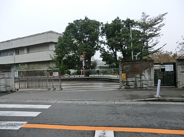 周辺環境:横浜市立松本中学校(横浜市立松本中学校まで1000m)