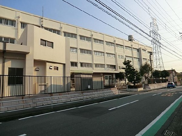 周辺環境:横浜市立川上小学校(横浜市立川上小学校まで700m)