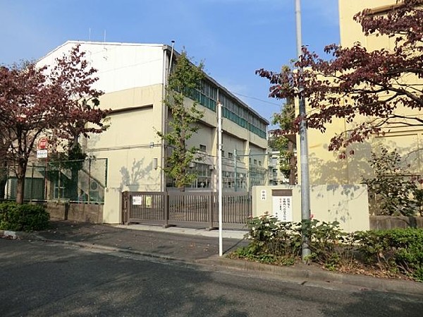 周辺環境:横浜市立星川小学校(横浜市立星川小学校まで650m)