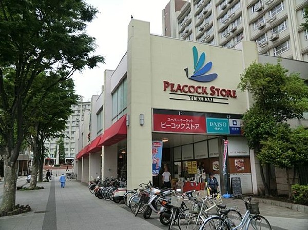 周辺環境:ピーコックストア洋光台店(ピーコックストア洋光台店まで1200m 大型スーパーも近くあり買物便利♪)