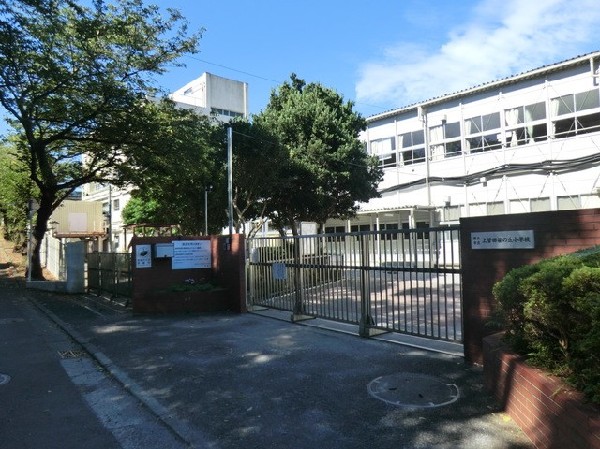 周辺環境:横浜市立上菅田笹の丘小学校(横浜市立上菅田笹の丘小学校まで900ｍ)
