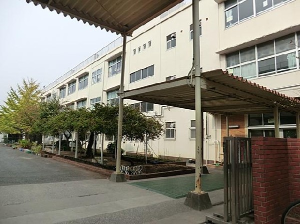周辺環境:横浜市立藤の木小学校(横浜市立藤の木小学校まで600m)