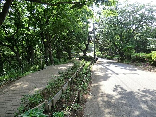 周辺環境:神の木公園(大規模公園)(神の木公園(大規模公園)まで120m 公園近くでお子様も安心して遊べます♪)
