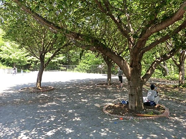 周辺環境:松見みはらし公園(松見みはらし公園まで140m)