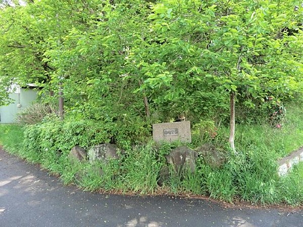 周辺環境:白幡公園(白幡公園まで240m)