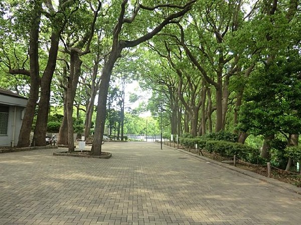 周辺環境:常盤公園(大規模公園)(常盤公園(大規模公園)まで1500m)