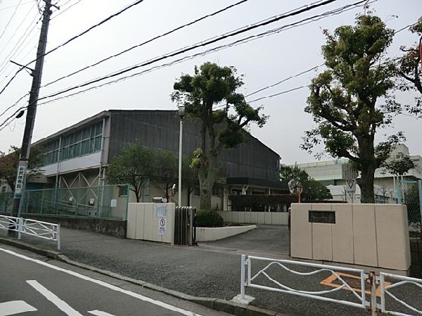 周辺環境:横浜市立藤の木中学校(横浜市立藤の木中学校まで700m)