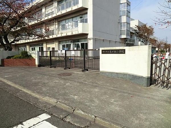 周辺環境:横浜市立鳥が丘小学校(横浜市立鳥が丘小学校まで450m)