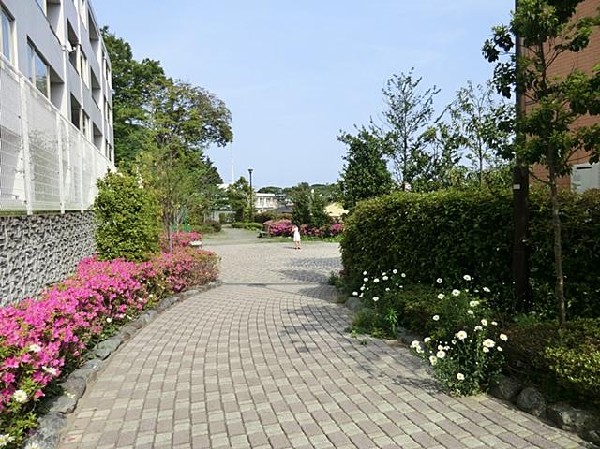 周辺環境:池袋第三公園(池袋第三公園まで100m)
