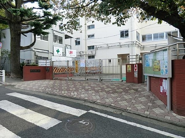 周辺環境:横浜市立寺尾小学校(横浜市立寺尾小学校まで1000m)