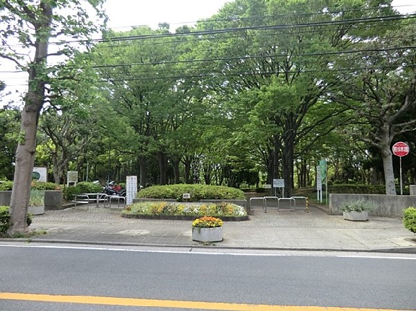 周辺環境:根岸森林公園(根岸森林公園まで450ｍ)