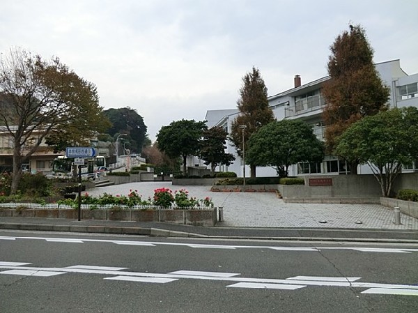 周辺環境:横浜市立本牧中学校(横浜市立本牧中学校まで1100ｍ)