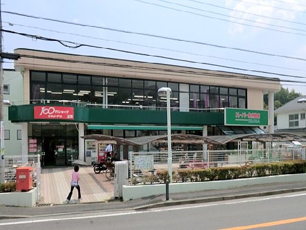 周辺環境:TAIGA岡津店(TAIGA岡津店まで850m)