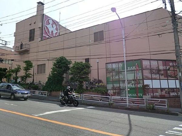 周辺環境:東急ストアあざみ野店(東急ストアあざみ野店まで800m)