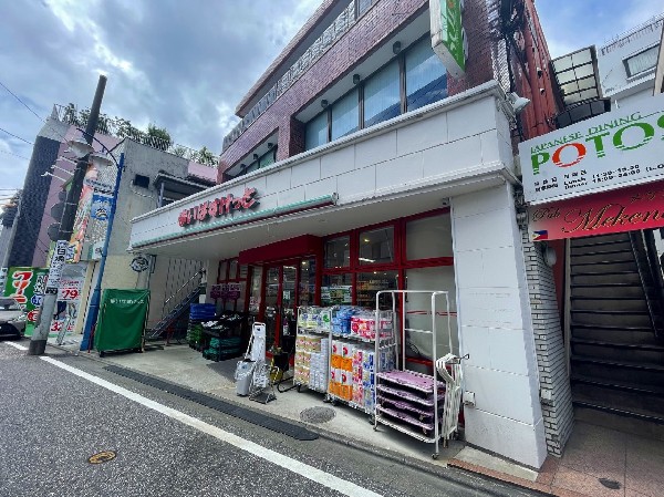 周辺環境:まいばすけっと宿河原駅前店(少量の野菜やお肉なども揃い、大型スーパーに行くほどではない時などに便利なコンビニサイズのスーパー。)