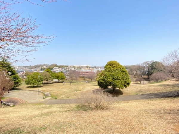 周辺環境:東山田公園(傾斜を利用した広ーい芝生の公園。子供たちは走り回りたくこと間違いなし。　)