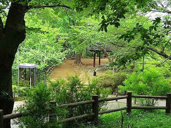 周辺環境:大倉山公園　(梅林で有名な大きな公園、お休みの日にのんびりと過ごすことが出来ます。ドラマのロケ地にもなっています)