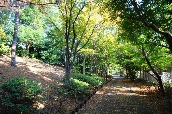 周辺環境:都田公園(テニス、野球、サッカーが楽しめる公園です。グラウンドや施設は常に整備され、皆様に常に快適な空間を提供しております。)