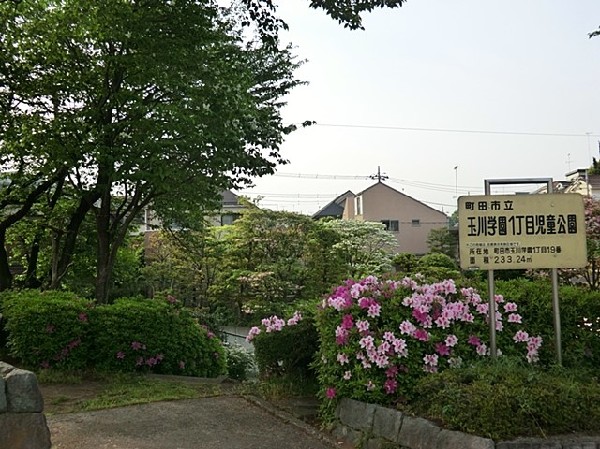 周辺環境:玉川学園1丁目児童公園(住宅街らしく近隣には公園が複数ありますので、お子様にも嬉しい住環境です。きっと、お気に入りの公園がみつかるはずです。)