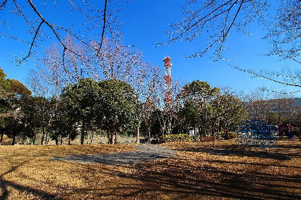 周辺環境:荏田富士塚公園(住宅街らしく近隣には公園が複数ありますので、お子様にも嬉しい住環境です。きっと、お気に入りの公園がみつかるはずです。)