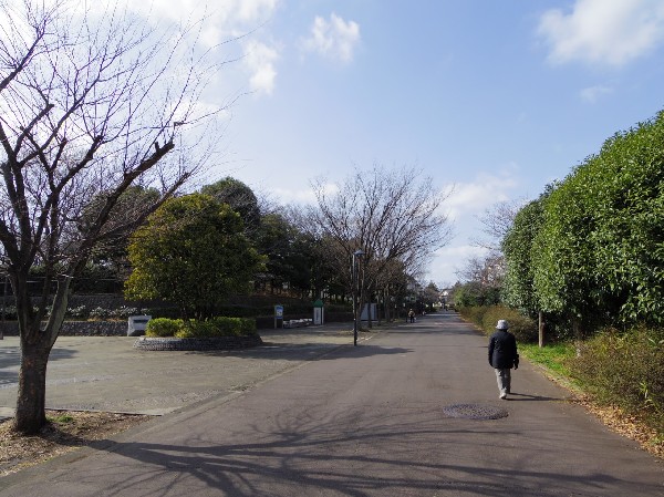 周辺環境:西菅公園(木々に囲まれた自然豊かな広い公園。遊具が揃っているので子供は大満足。紅葉の季節は綺麗な景観が大人も嬉しい。)